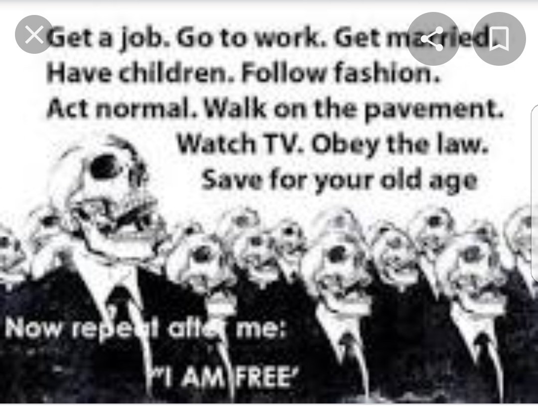 AmandaTheft's tweet photo. @taymacintyre @annemariepickup @ClinOncDoc Not everyone wants kids or to 'settle down' ....i hate kids and never want to settle down. Life is for living not conforming. https://t.co/2SIKmzwrJJ