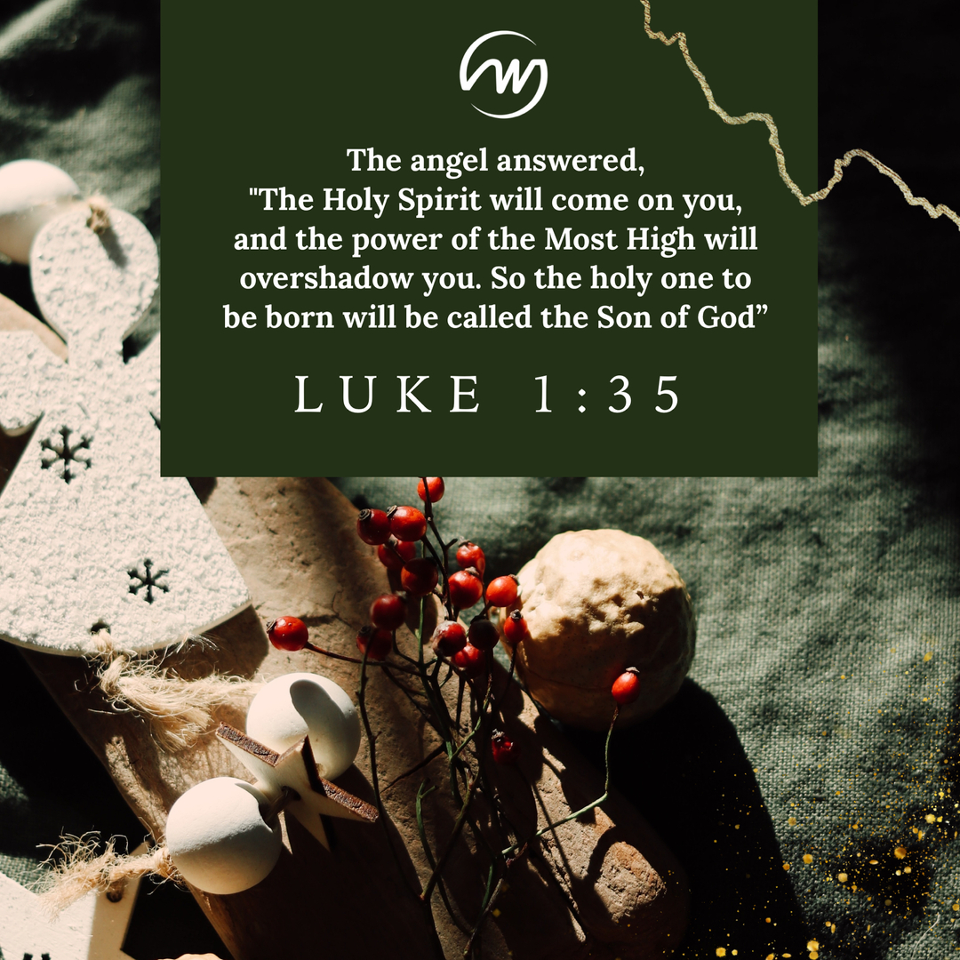 WordBookstore's tweet photo. Luke 1:35 NIV
The angel answered, “The Holy Spirit will come on you, and the power of the Most High will overshadow you. 
So the holy one to be born will be called the Son of God. https://t.co/4o05AZ7VYI
