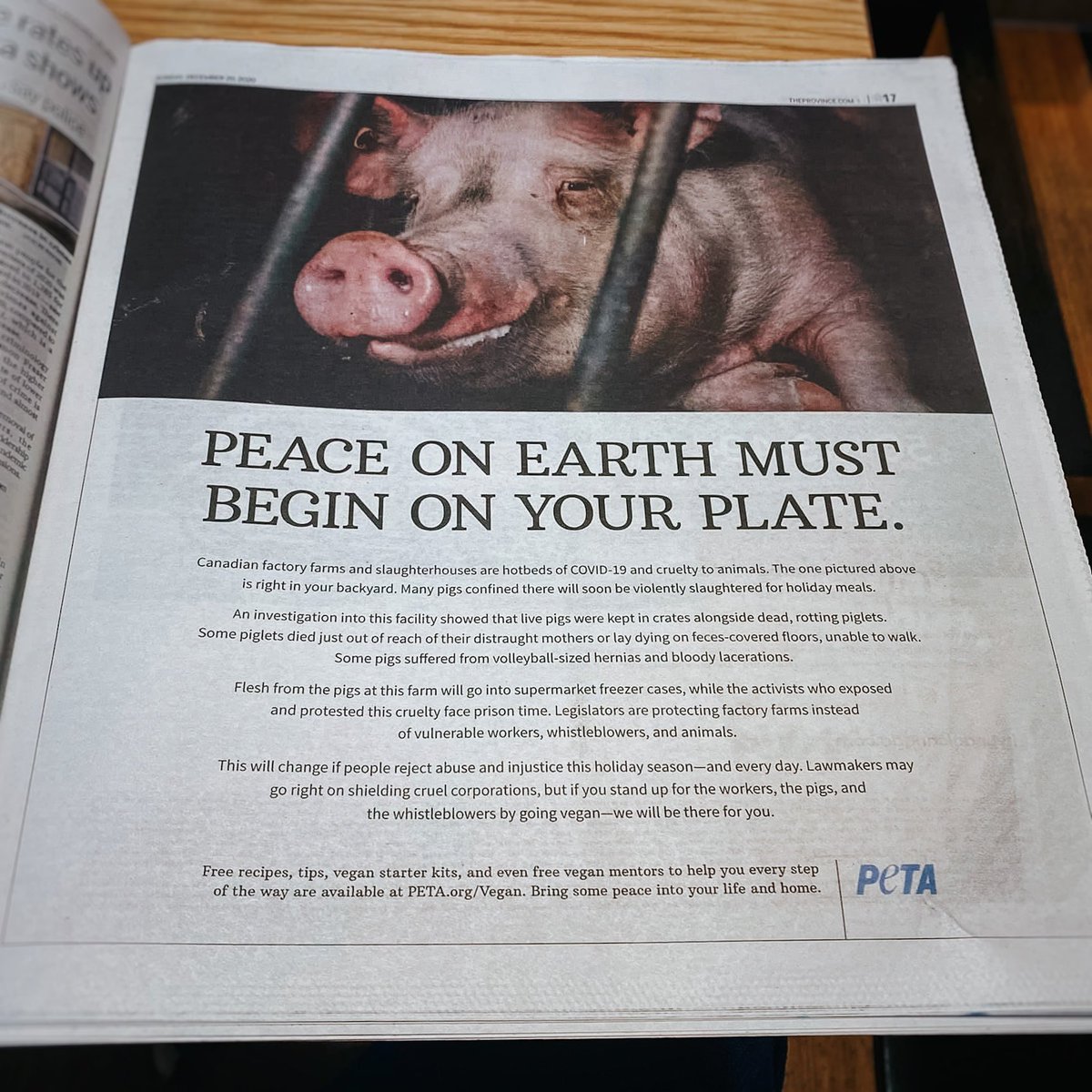 AmySoranno's tweet photo. A full page feature in one of Canada’s largest newspapers!

We must start considering WHO is on our plates, WHO we are wearing, WHO we are exploiting through our celebrations &amp; choices, and HOW that all impacts this world.

Thank you @peta @VancouverSun 🐷 #TheExcelsior4 https://t.co/YiQZPjeBRO