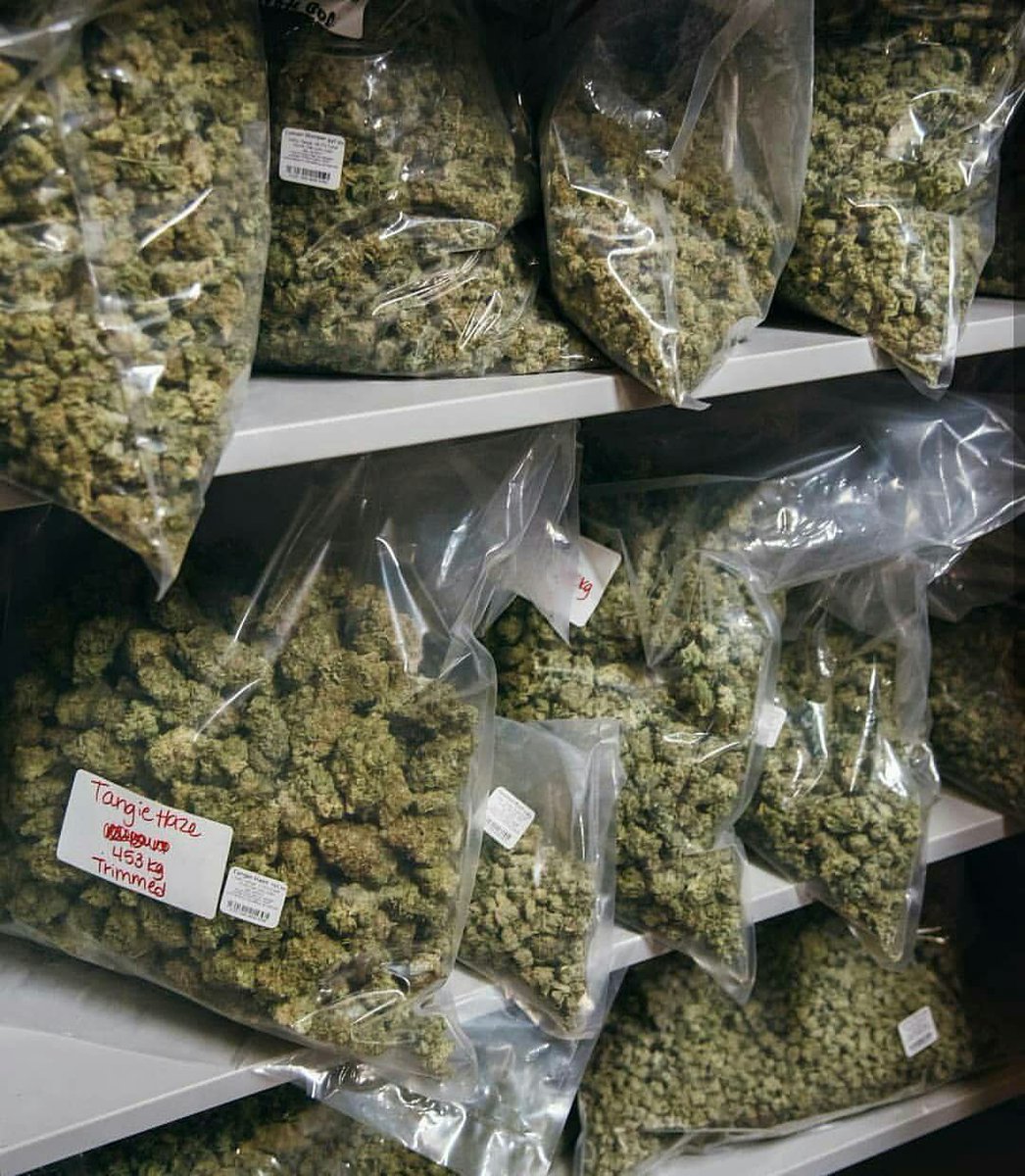 To some peeps that definitely need it!! <a href="/DucktheRoofer/">Duck</a> <a href="/stoneteacher420/">+StoneTeacher420🇵🇷AKA(TEACH420)💚</a> @Bigs_Mclovin420 <a href="/TheCannaChronic/">🔥CANNA💨</a> <a href="/QUEENDIVA420/">Queen</a> @PMR420 @X_MannG @tshakeme <a href="/lil_marshmello/">Lil-Mello 💖💜💙🌙</a> <a href="/Lakers/">Los Angeles Lakers</a> <a href="/SnoopDogg/">Snoop Dogg</a> (homie where's the love?) #81jointsforfuzz #StayLifted #PPP 🙏✌💚💨💨  contact +19094479820