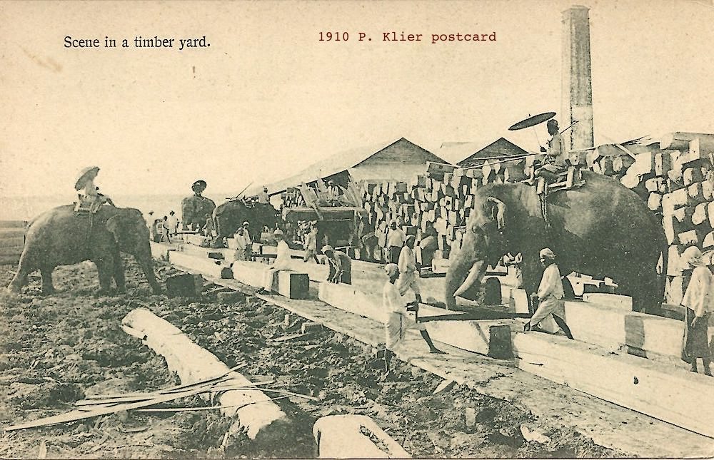 6. During British rule teak was major export despite terrain/transport challenges. Foreign timber managers took charge with companies like Bombay Burmah Trading Corp. In WW2 timber personnel & elephants deployed to Allied war effort; Japanese occupiers cut forests to fund theirs.