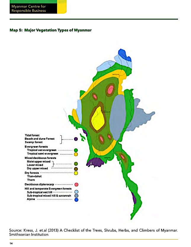 2. Borders of Burma (Myanmar) were drawn around many varied ecosystems & climate zones (rainy, dry; hot, cold.) Dense tropical rainforests in south. Mid-elevation temperate forests known for teak. Other hardwoods include pyinkado, padauk. In northern mountain forests, conifers.
