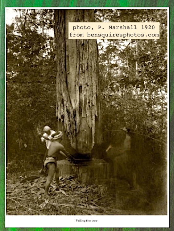 5. Late 18th C when Britain conquered Burma commercial exploitation of timber high priority, esp. teak for shipbuilding. British depleted teak in Tenasserim, then adapted local practices for Burma Selection System: 30 yr cutting cycle, specified circumference & yield, replanting.