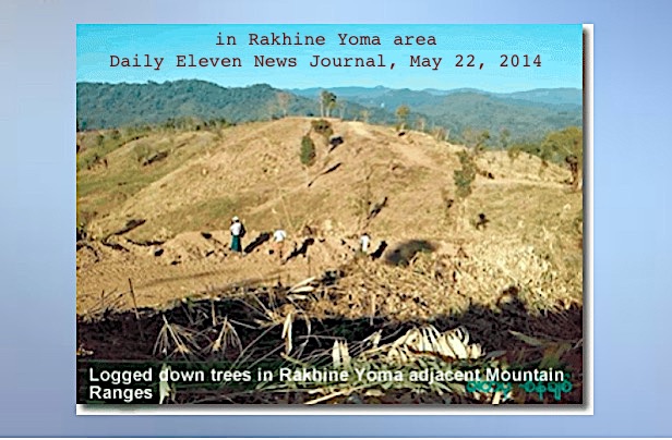 14. Although previously not a major timber-extraction region, in 2001-2010 Rakhine State ( #Arakan) had Myanmar’s highest deforestation rate (5.57%) and largest deforested area (6,376.5 km2) according to Myanmar Forest Resource Assessments, cited 2016.  http://lcluc.umd.edu/sites/default/files/lcluc_documents/Deforestation_Soe_Myint.pdf