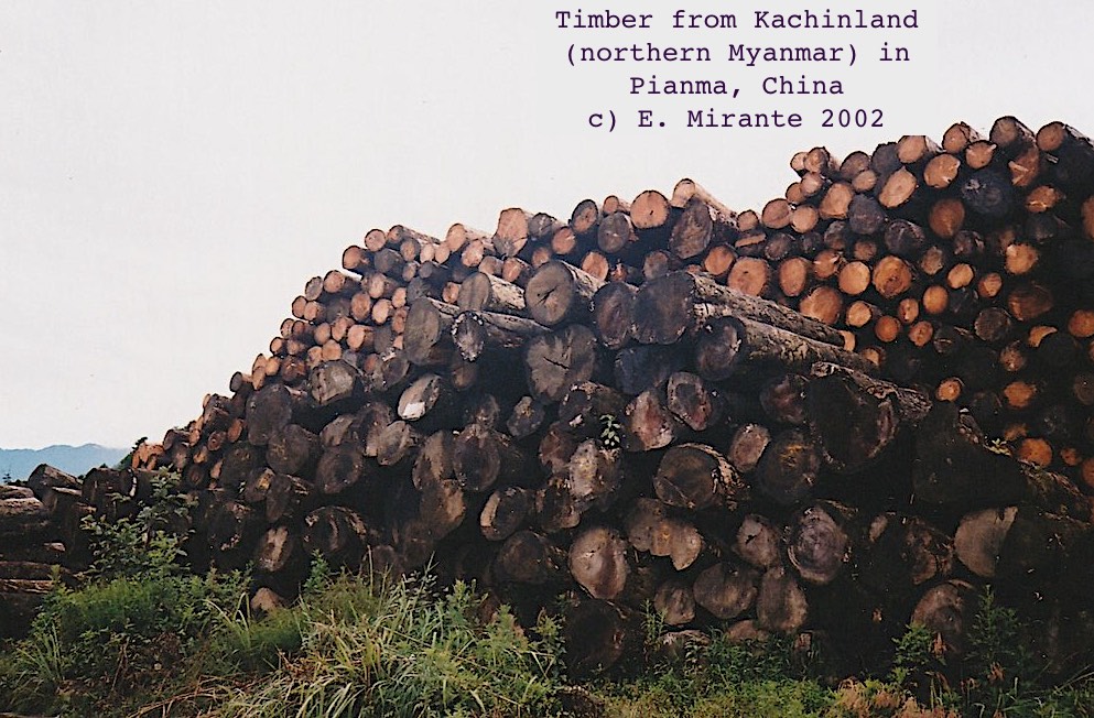 12. Kachin Independence Army 1994 ceasefire w. Myanmar military enabled logging companies from China (deals w. govt/military, militias, KIO) to decimate biodiverse northern forests. By 2003 Myanmar worst deforestation rate in world.  @Global_Witness report:  https://www.globalwitness.org/en/archive/conflict-interest-english/