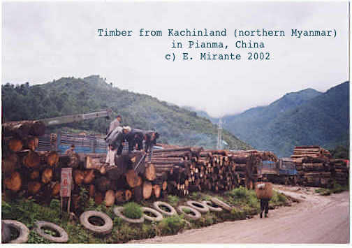 12. Kachin Independence Army 1994 ceasefire w. Myanmar military enabled logging companies from China (deals w. govt/military, militias, KIO) to decimate biodiverse northern forests. By 2003 Myanmar worst deforestation rate in world.  @Global_Witness report:  https://www.globalwitness.org/en/archive/conflict-interest-english/