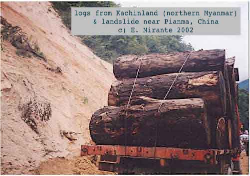 12. Kachin Independence Army 1994 ceasefire w. Myanmar military enabled logging companies from China (deals w. govt/military, militias, KIO) to decimate biodiverse northern forests. By 2003 Myanmar worst deforestation rate in world.  @Global_Witness report:  https://www.globalwitness.org/en/archive/conflict-interest-english/
