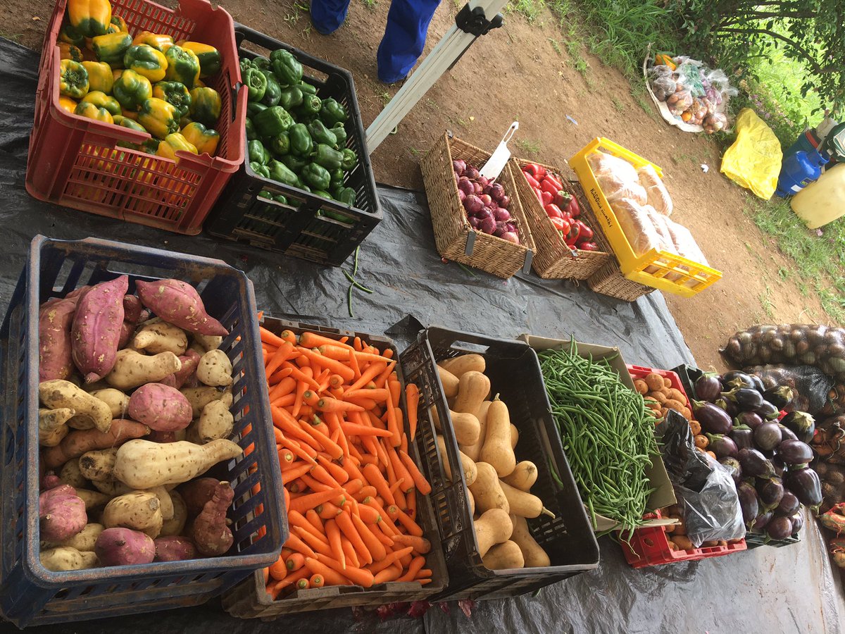 MathonsiCN's tweet photo. We had our last Friday Market this Friday for the year 2020. Thank you to all the farmers for your amazing support!!!ππΎππΎππΎπ. We had to change the way we do market. Thank you Kadoma for your continued support during this very challenging year.
#SupportingLocalFarmers https://t.co/Qzx9ndn0Qd