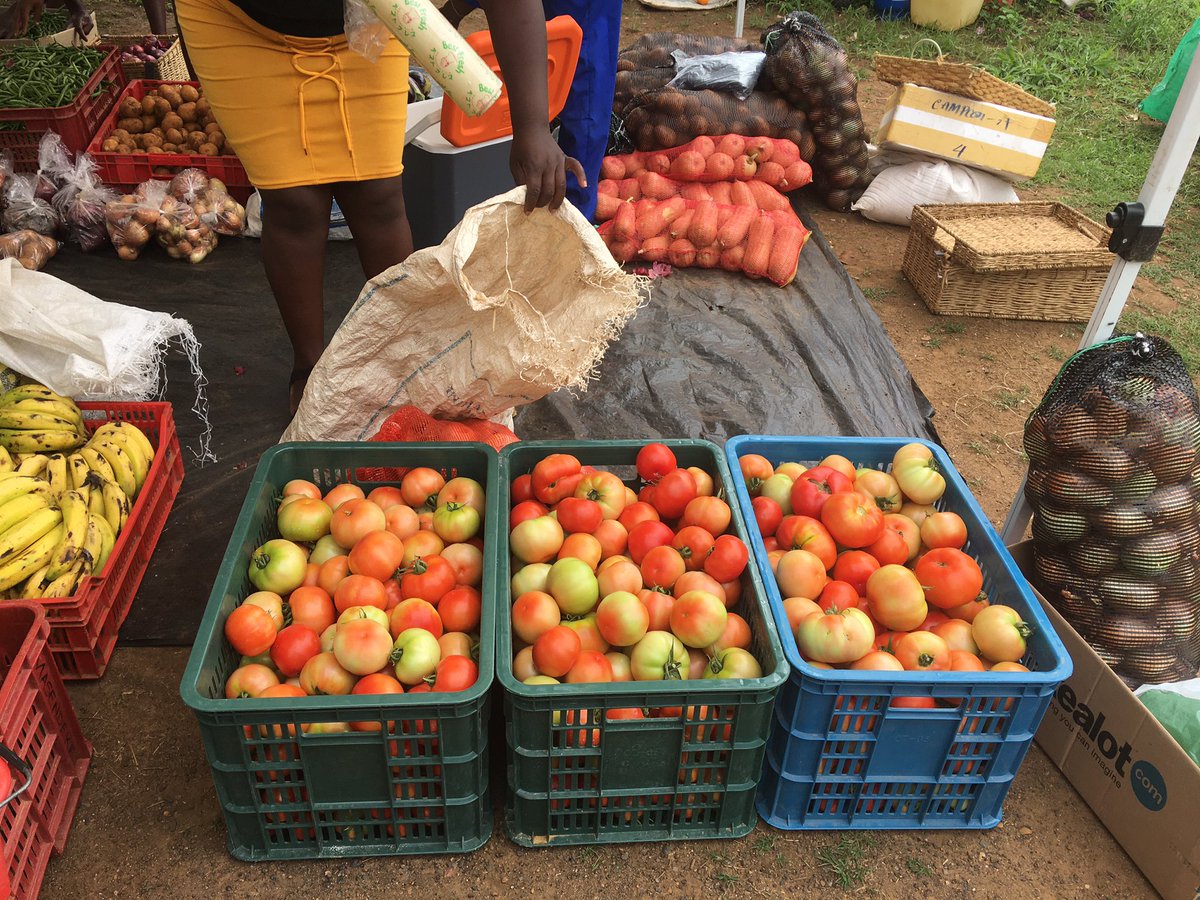 MathonsiCN's tweet photo. We had our last Friday Market this Friday for the year 2020. Thank you to all the farmers for your amazing support!!!ππΎππΎππΎπ. We had to change the way we do market. Thank you Kadoma for your continued support during this very challenging year.
#SupportingLocalFarmers https://t.co/Qzx9ndn0Qd