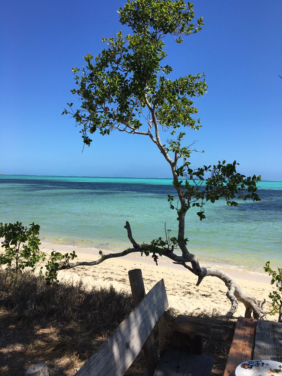 Buenos Viajes tweet media