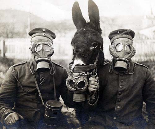TWO GERMAN SOLDIERS AND THEIR MULE WEARING GAS MASKS, 1916.