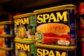 THE ORIGIN OF THE WORD SPAM.