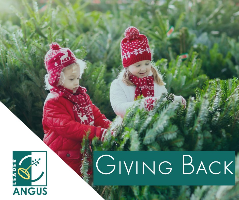 Angus LEADER tweet media