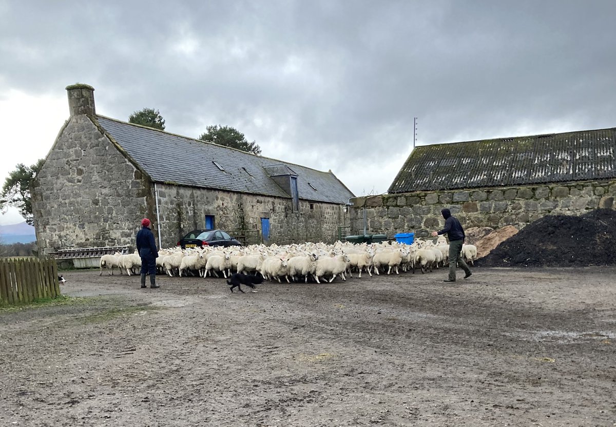 Charlie Davis tweet media