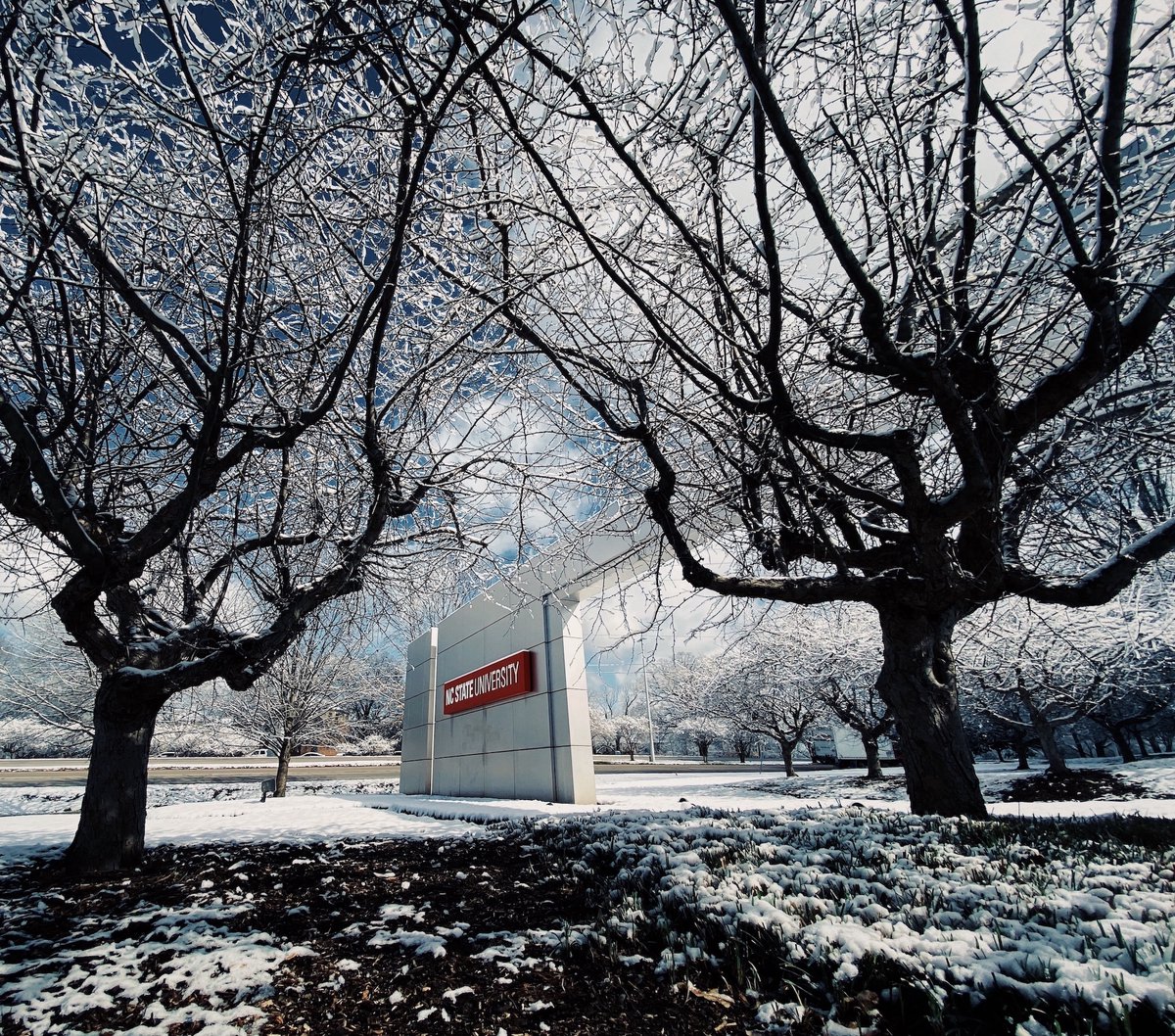 First day of winter has us reminiscing about this beautiful snow day in February. ❄️🐺