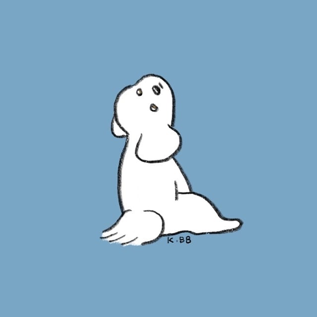 ビションのtwitterイラスト検索結果