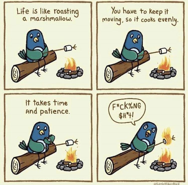 THREAD. Everything feels so gloomy. So here’s just a thread of funny/nice shit my friends and I have shared with each other this is year. I hope some make even one person chuckle. These made us LOL: