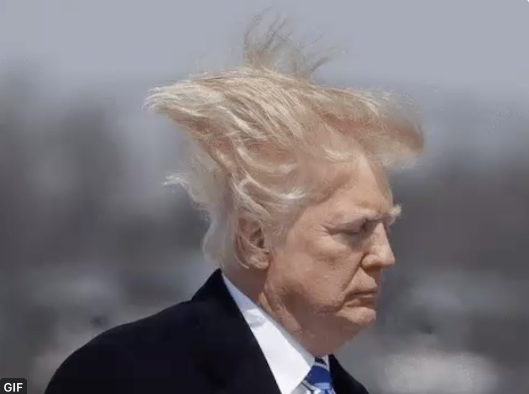 ananavarro's tweet image. One year, Trump deducted $75,000 in hair expenses.

A $600 check, wouldn’t even cover 3 days.