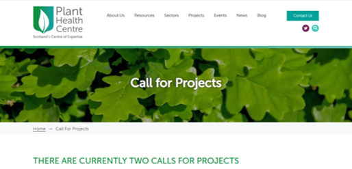 PlantHealthScot's tweet image. PROJECT CALL: We are looking to better understand the likely threat of Bronze Birch Borer to Scotland, informing risk assessment, surveillance and contingency planning. See our website for full details and to apply: planthealthcentre.scot/call-for-proje… @scotforestry @nature_scot