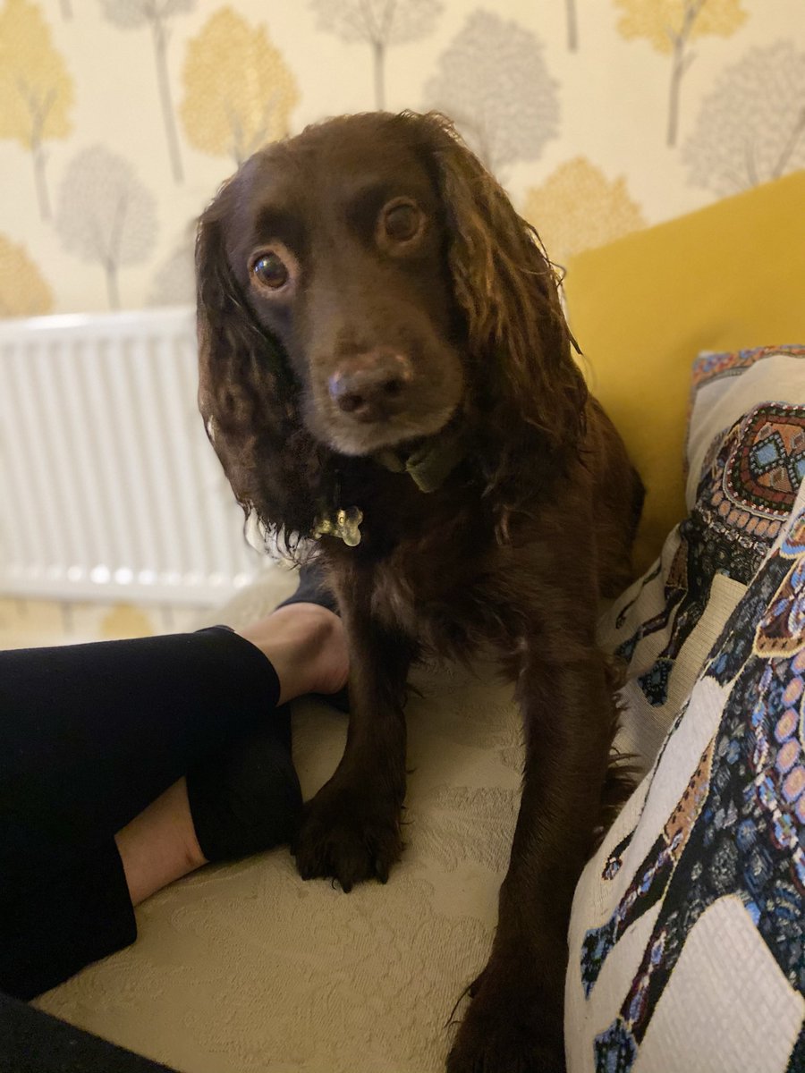 Here’s a very wet Eric because I dare you not to smile at these photos.