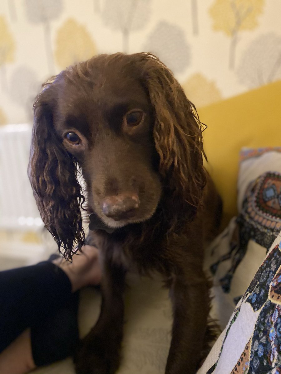 Here’s a very wet Eric because I dare you not to smile at these photos.