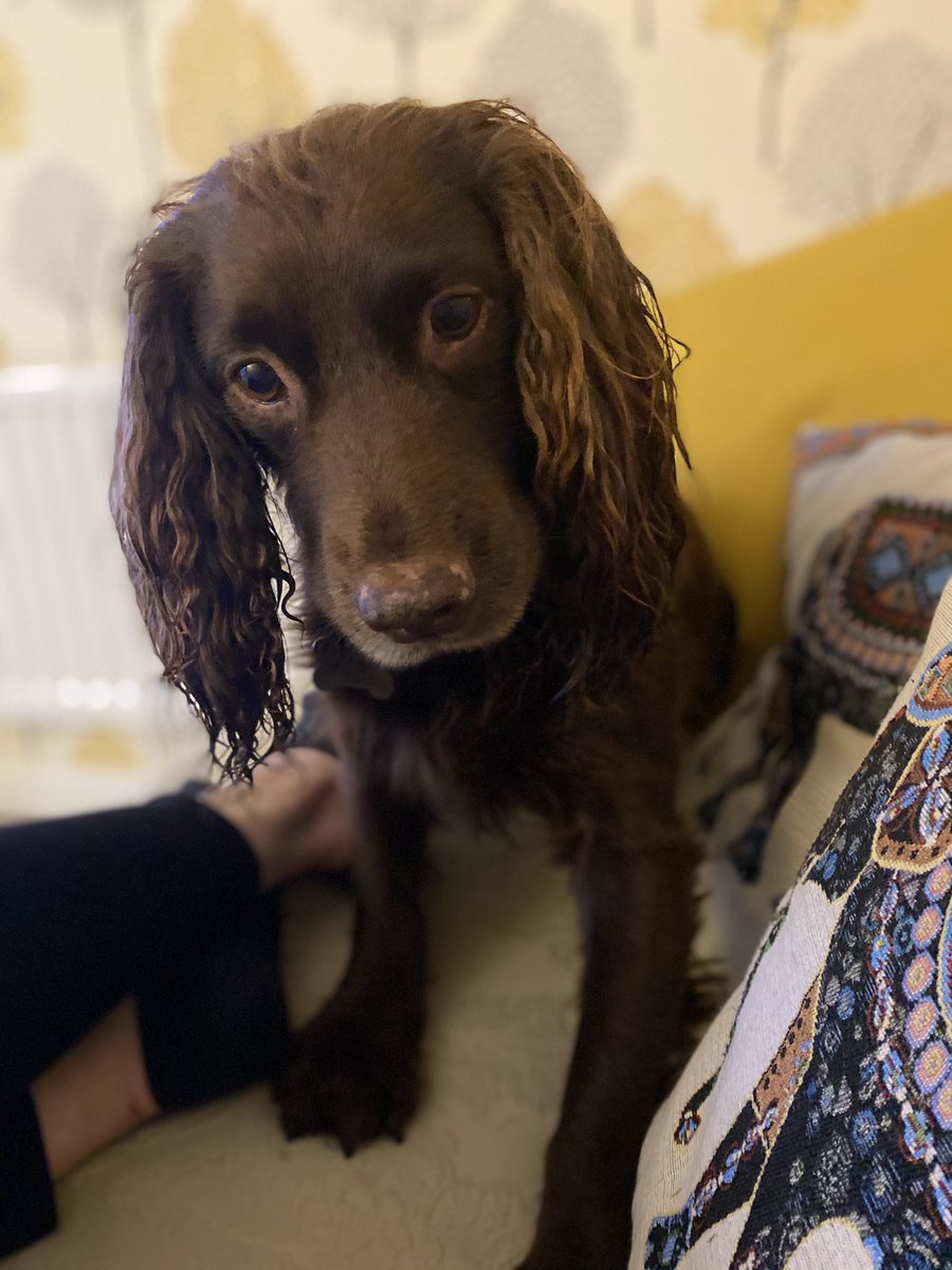 Here’s a very wet Eric because I dare you not to smile at these photos.