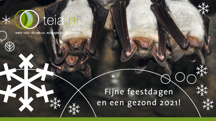 Dit jaar stond de wereld op z'n kop! Toch kijkt Teia terug op een goed jaar. Dit had nooit gekund zonder onze kanjers: onze #opdrachtgevers en #medewerkers. Bedankt voor ieders inzet en flexibiliteit. Voor nu fijne #feestdagen en laten we duimen voor een gezond#2021!