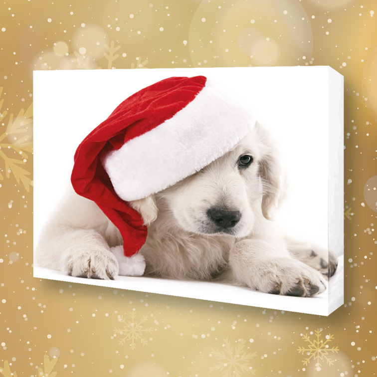 Print_Centre's tweet image. Christmas personalised photo gifts can still be purchased though our online store...or you can call or email us direct with any requests for photo prints, canvas, frames plus much more...contact free delivery service still available - hello@printcentrecardiff.com - 02920 665 049