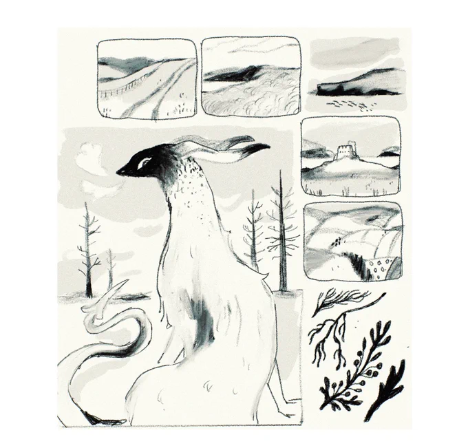 seaweed 