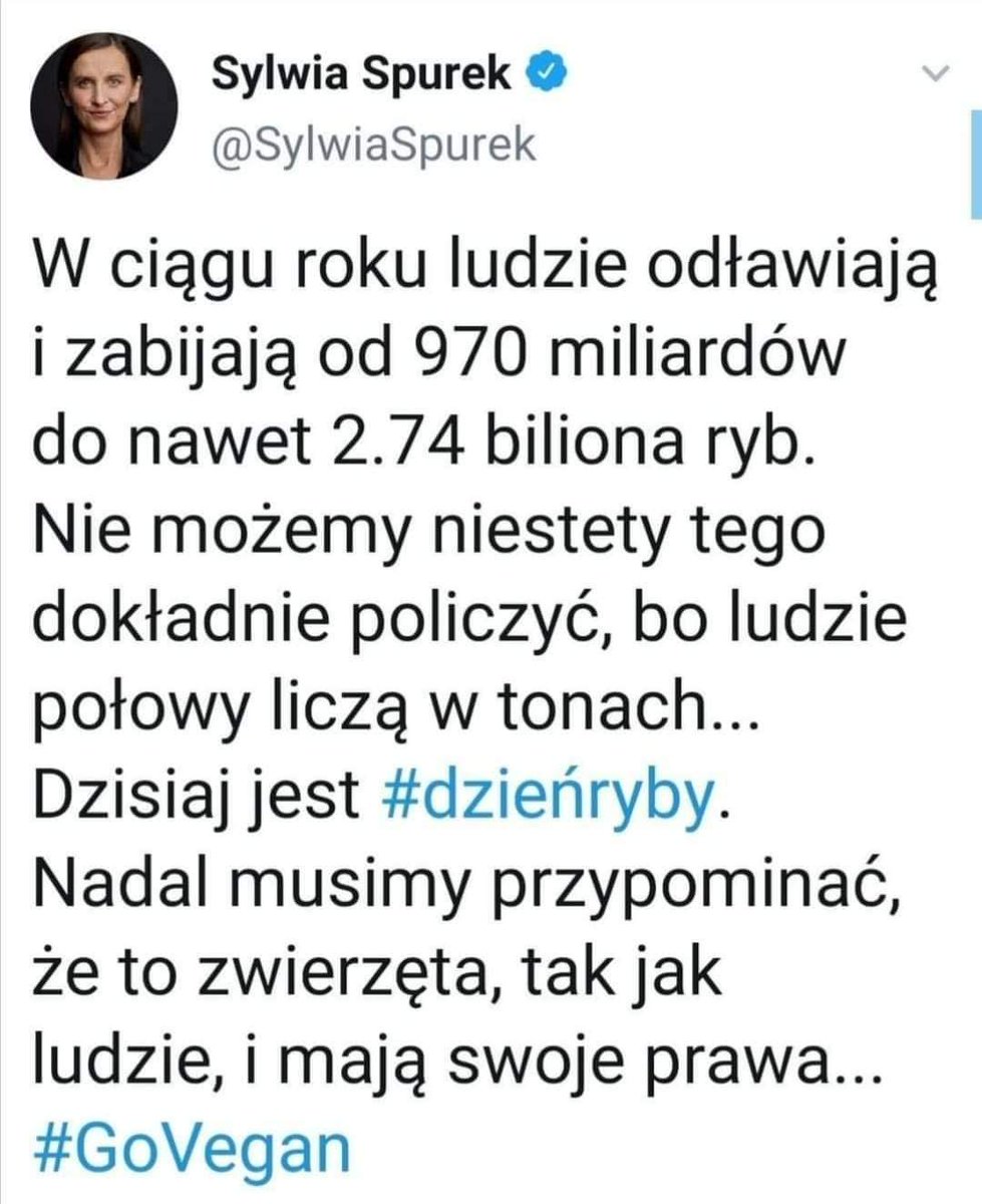 Tulwinski's tweet photo. Każda ryba ma prawo być kim chce. Może być rybą po grecku lub po żydowsku. Nie możemy im tego zabronić 🐟 #FishPower https://t.co/cOicYjDXn0