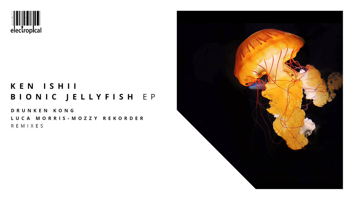 K_Ishii_70Drums's tweet photo. KEN ISHII - BIONIC JELLYFISH EP [ELECTROPICAL]

本日発売！今年最後の自分名義のリリースはフランスの @ERtechnomusic より。リミックスでは日本から飛ぶ鳥を落とす勢いの @drunken_kong 、レーベルの常連 @lucamorrisdj &amp; Mozzy Rekorder が参加。よろしくお願いします！
https://t.co/ErnKGYDpUH https://t.co/zmJoHMNuOa