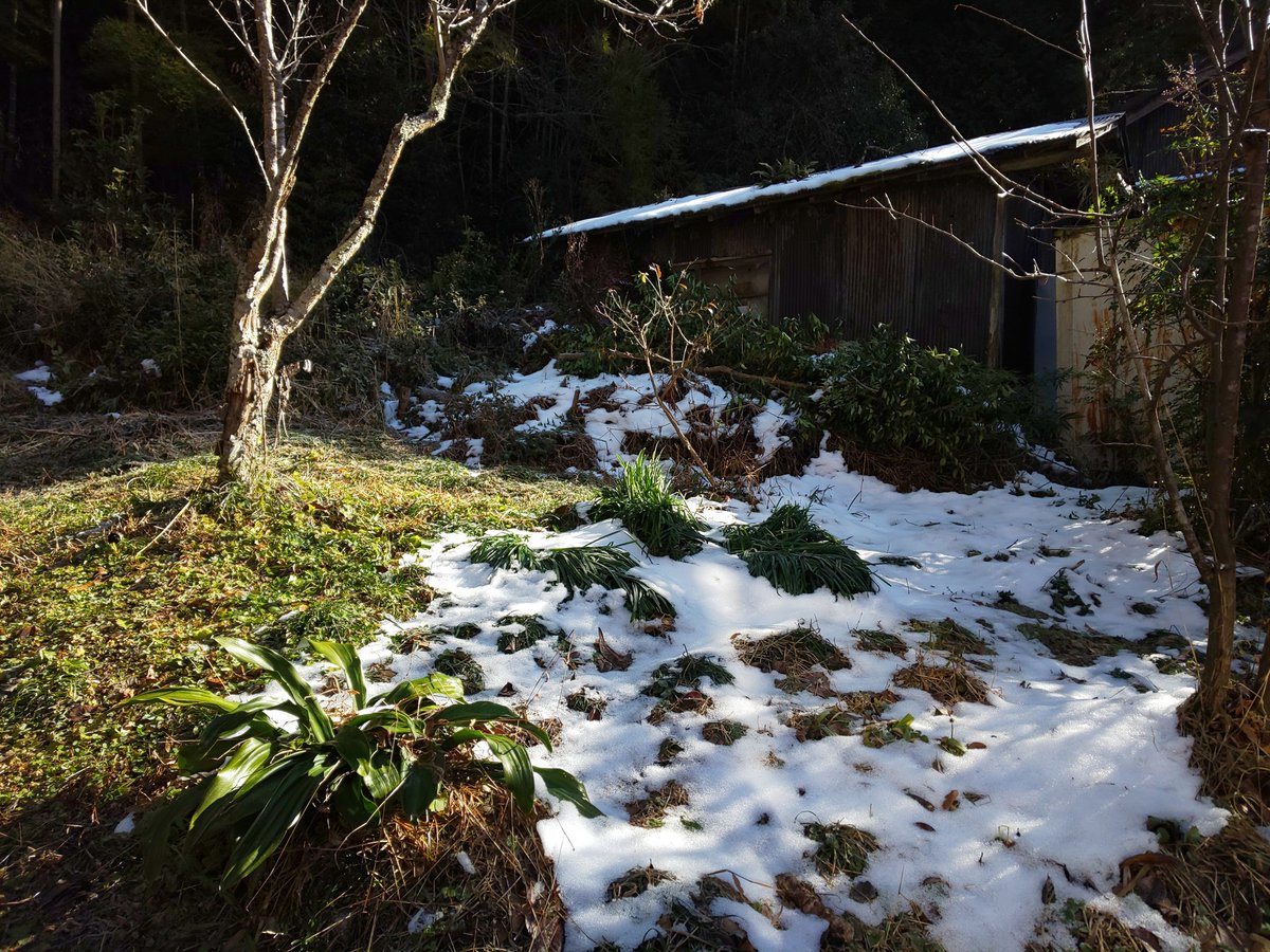 ichi4each's tweet photo. #雪 #朝日を浴びる #雪解け https://t.co/G6LfRT15RL