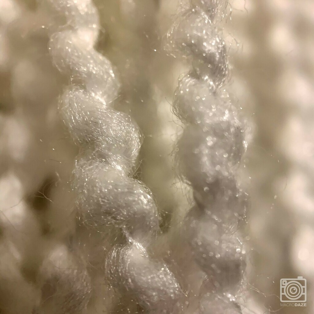 MacroDaze's tweet photo. Santa's Beard - 12 Days of Christmas
⠀
Follow @macrodaze for more stunning images and don't forget to tag your macros with #macrodaze
______________________
#macrodaze #instaedit #colorlove #macrophotography #macrolove #macrophoto #macroshot #macroar… https://t.co/mO2fObz2sl https://t.co/l0qoyGhFY0