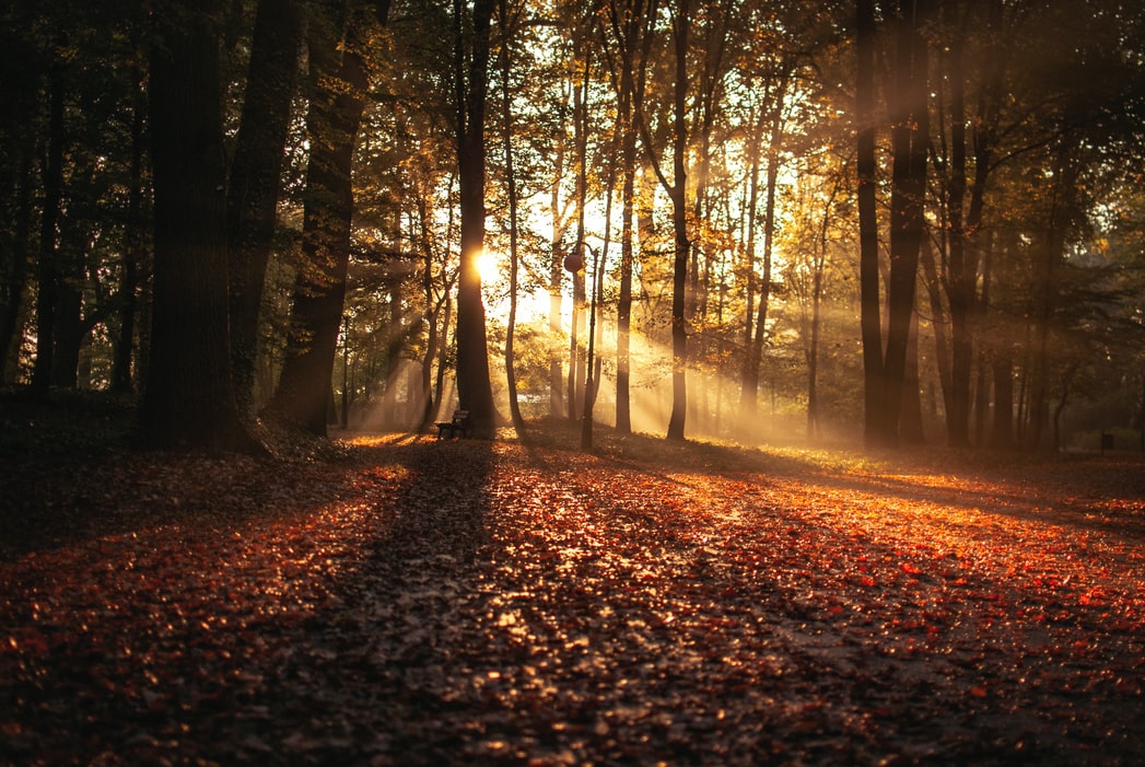 QuitWithBella's tweet photo. Struggling with cravings? Research has found that exercising can reduce feelings of nicotine withdrawal. When you feel the urge to smoke, try to do something active instead, even gentle exercise like a #walk will help.
#Quit #AI #App #RoboCoach #Smokefree #Exercise #stopsmoking https://t.co/4H6qXbLrJz