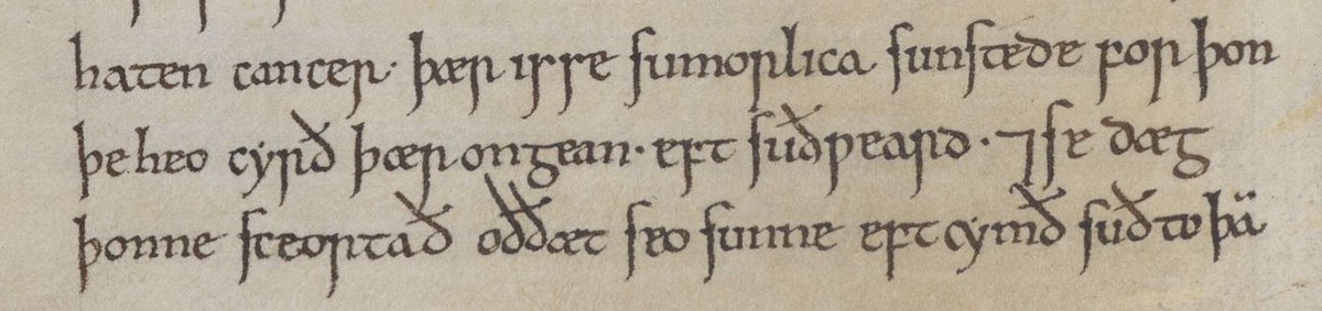 A description of the winter solstice ('winterlica sunstede') in Old English, from Ælfric's De temporibus anni ( http://bl.uk/manuscripts/FullDisplay.aspx?ref=Cotton_MS_Caligula_A_XV f. 145v-6)