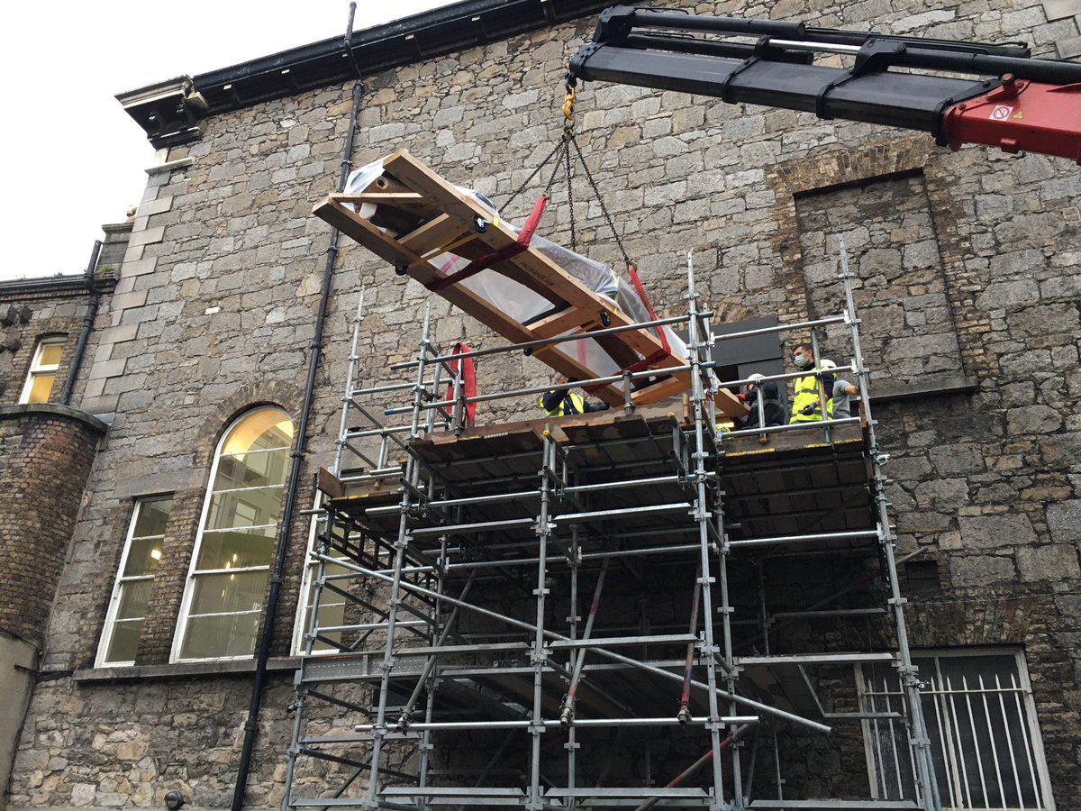 (5/6) The pair of whale jaws share a crate as they leave through a museum window