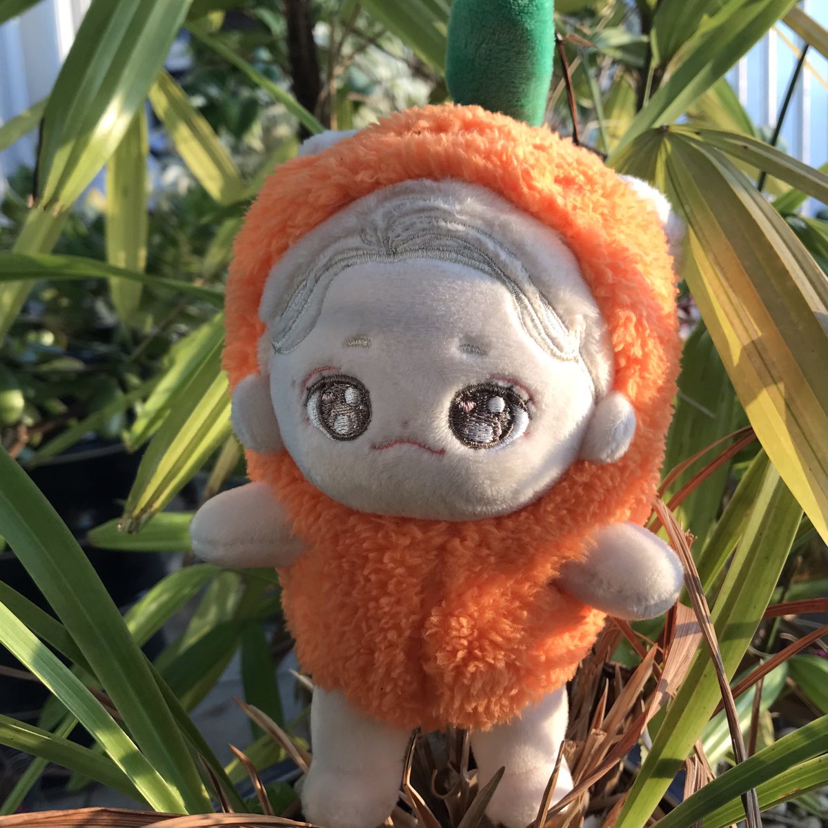 dbswl03's tweet photo. @DOREMI_SOLAR 
#솔라 #도레미파솔라

🥕🥕완전 귀여워요ㅠㅠ🥕🥕
     기다린 보람이 있네여☺️ https://t.co/oIWqvxKl1c