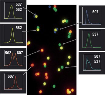 Toward the Accurate Read‐out of Quantum Dot Barcodes: Design of Deconvolution Algorithms and Assessment of Fluorescence Signals in Buffer† https://onlinelibrary.wiley.com/doi/abs/10.1002/adma.200701955