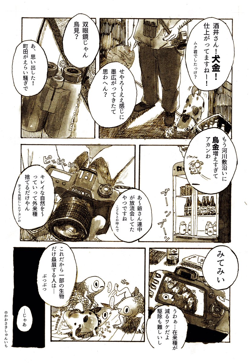 昔描いた放流金魚のその後の漫画 