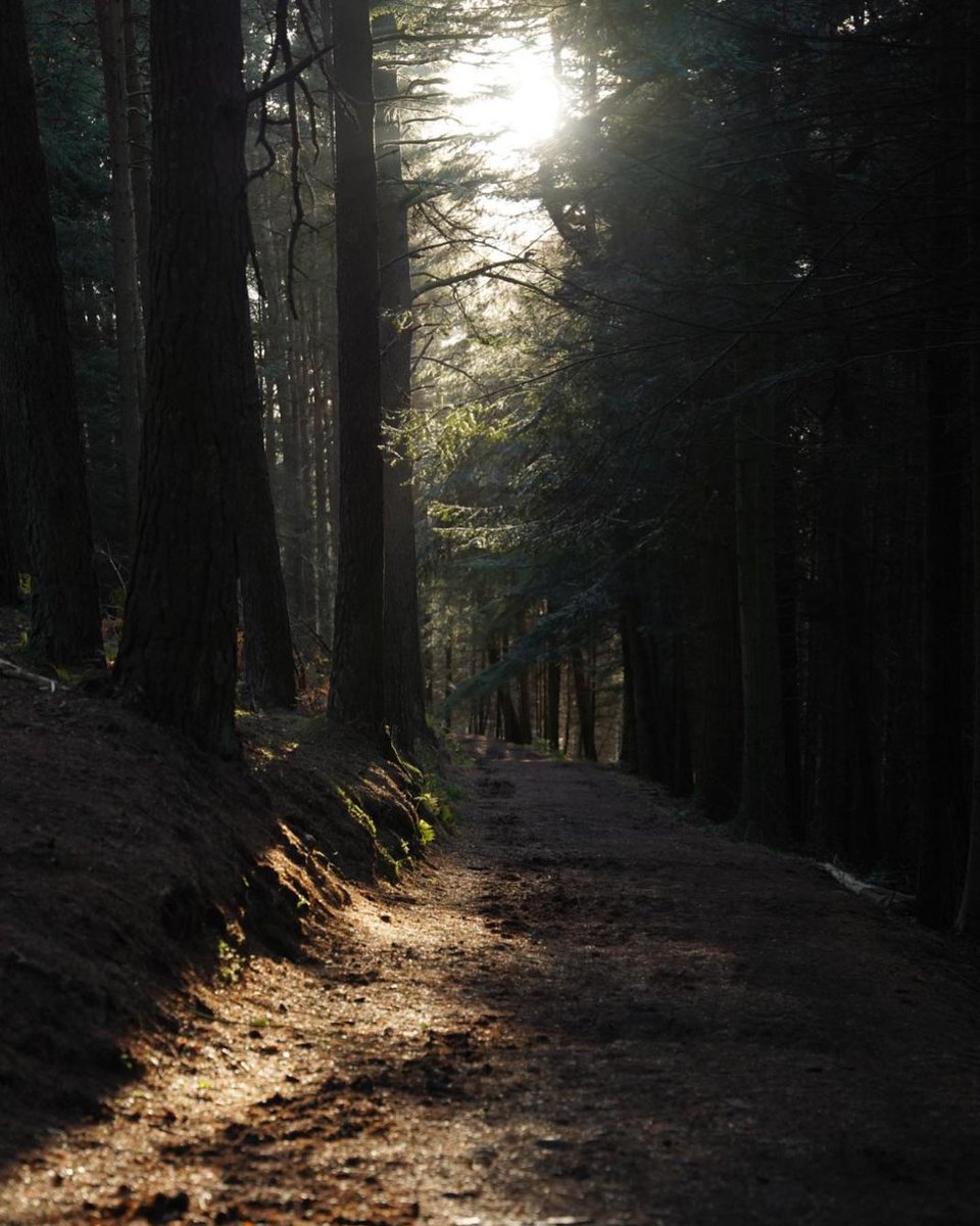 📍Kirkhill Forrest, Aberdeenshire 

Kirkhill Forrest is a hit with mountain bikers, trail runners &amp; walkers🚴🏼‍♀️

There are some great routes with stunning views, especially if you manage to find Tappie Tower which gives views of Bennachie and Aberdeen on a clear day 👀

#FitTaeDee