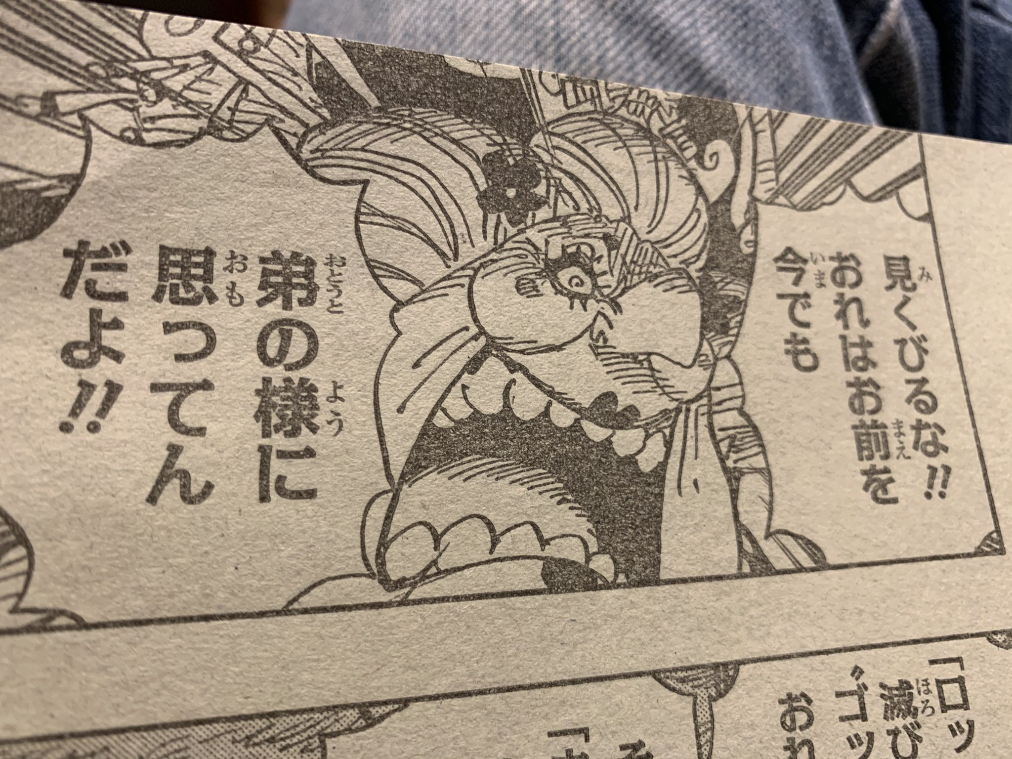 芳我英典eisuke Haga Iq555兆 場面は移り 同じく ヤマトが モモの助に カイドウを討ちにきたエースが ルフィの兄でありロジャーの息子だと伝える そっか モモの助はロジャーと旅してるもんな やば この義兄 ってところは