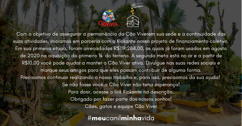 caoviverbh's tweet photo. Para doar, https://t.co/nBv0vTFg5i
Prefere transferência? Bradesco - Chave Pix - CNPJ: 05.907.661/0001-19
.
Muito obrigado por nos ajudar,

CÃO VIVER
Associação particular administrada por voluntários.
.
#meucanilminhavida #kickante https://t.co/wQXA59xVsR