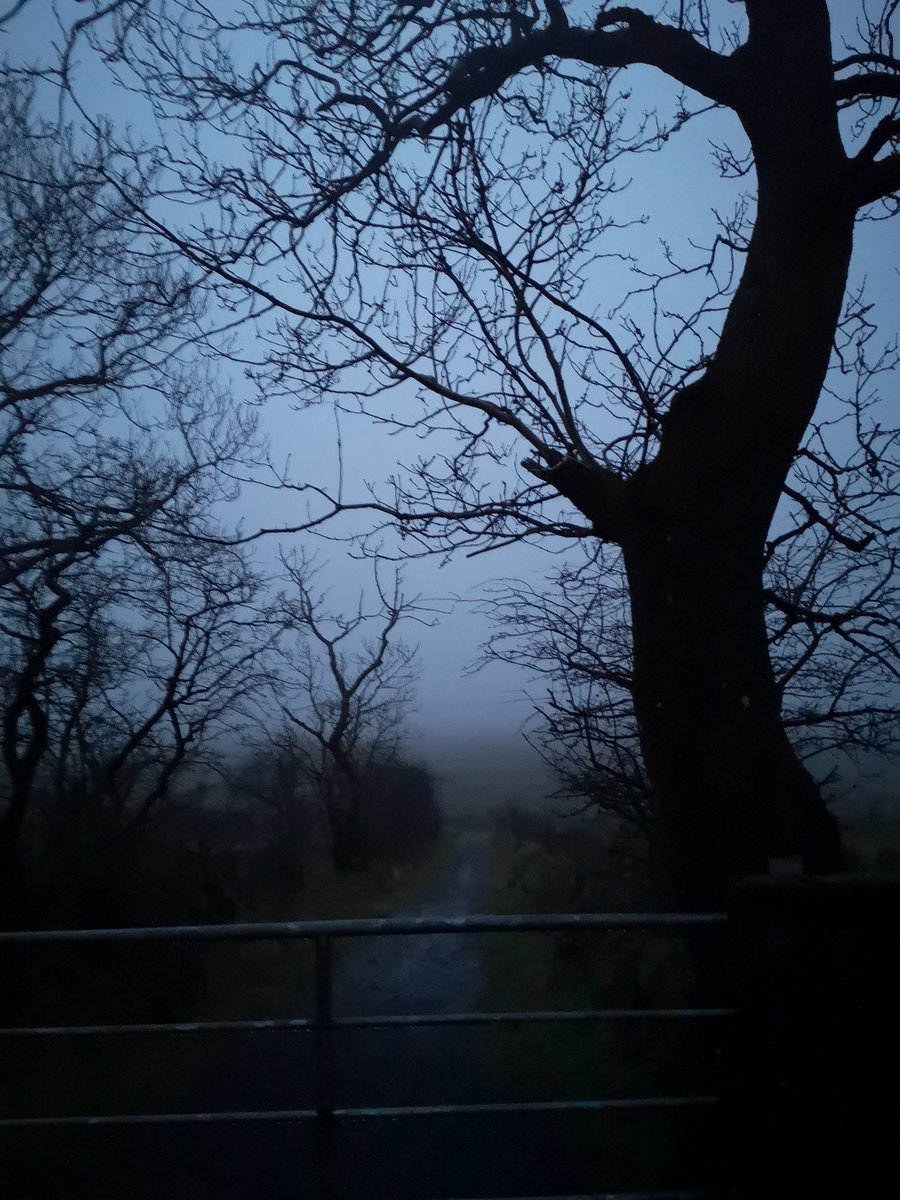 amuineill's tweet photo. 🌟 🌟 Grianstad an Gheimhridh 2020 🌞 ní fhaca mé éirí na gréine ach bhí cúpla sióg thart fán áit 😂
No solstice sun but think I saw a 🧚♂️ #fairy 🤫😜🙃🤣 @barrabest #nature #solstice #weewalk #dander #schoolholidays https://t.co/RGrROt8PPk