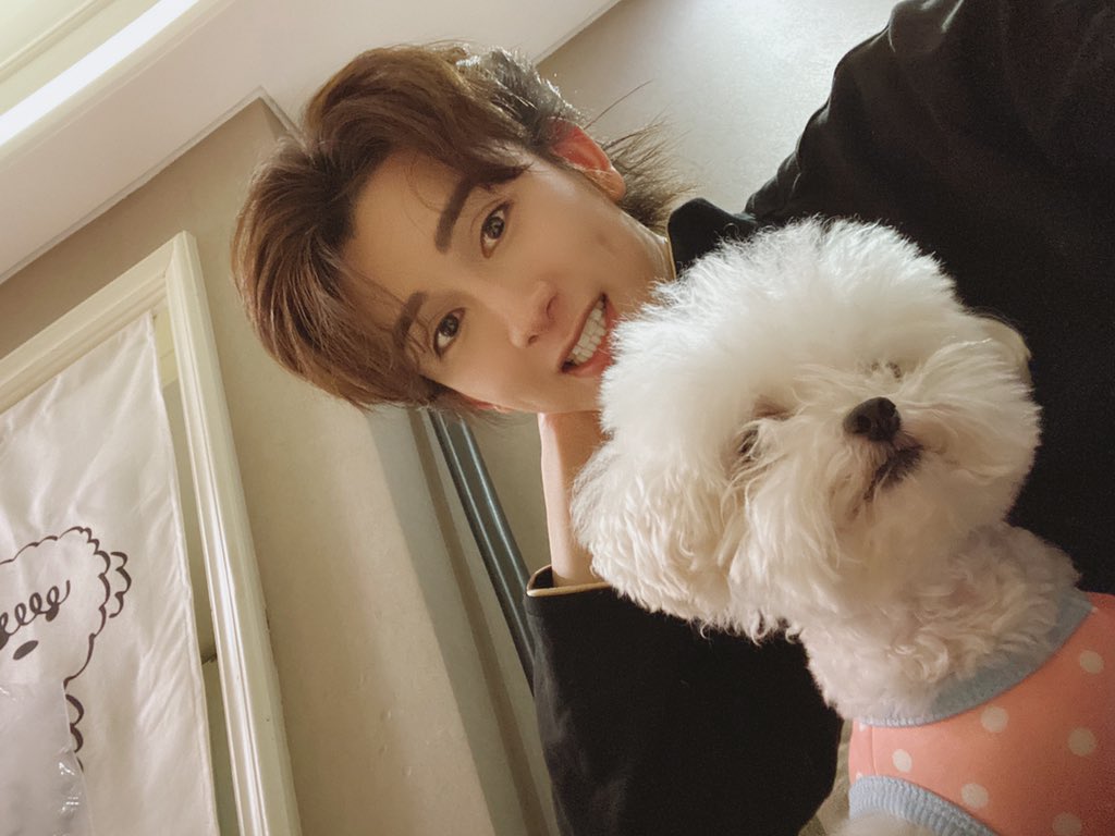 zhuzanjin (@zhuzanjin) on Twitter photo 