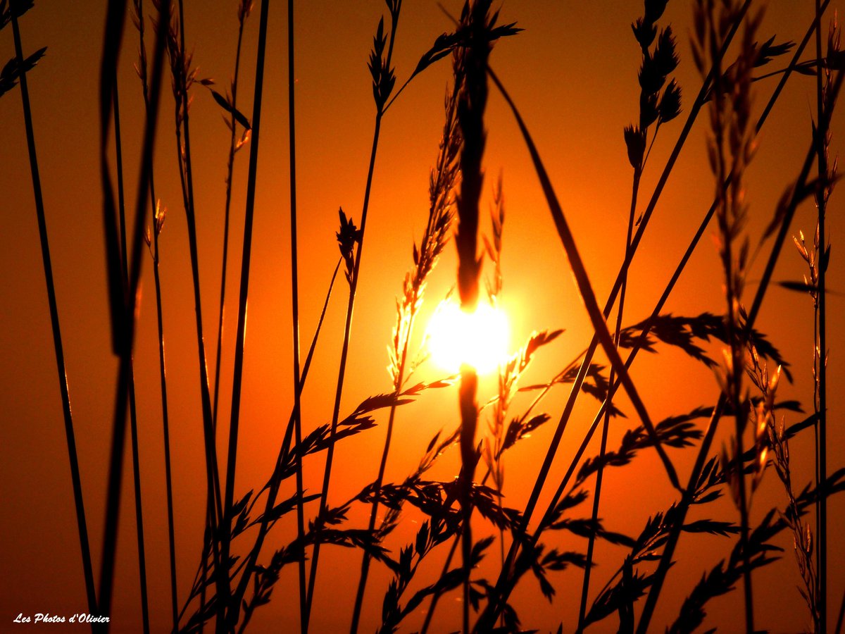 OlivierJorba's tweet photo. Depuis 11 h 02 mn 19 s (heure de #Paris), nous sommes officiellement en #hiver.
Paradoxalement, les jours vont peu à peu devenir moins courts. Et, donc, plus lumineux...
Bon solstice #Solstice2020 #solstiziodinverno #solsticecentury #solsticestar #Solstizio #Solsticio #ByOlivier https://t.co/nWmHaqOlzF