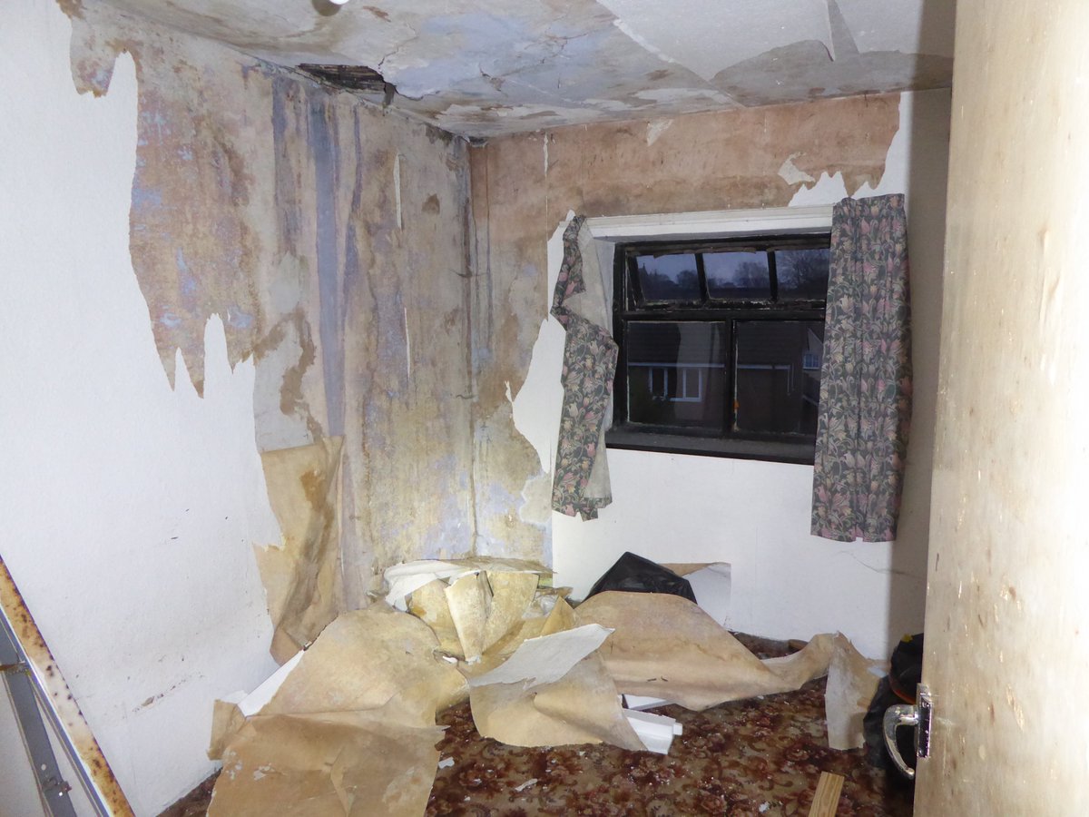 OldHouseRepair's tweet photo. A few before and after photos of the 2nd bedroom #Limewash #Limeplaster #HealthyLiving #Renovation https://t.co/mMJcUKkIa1