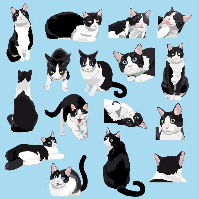 猫 関西 弁 しゃべる