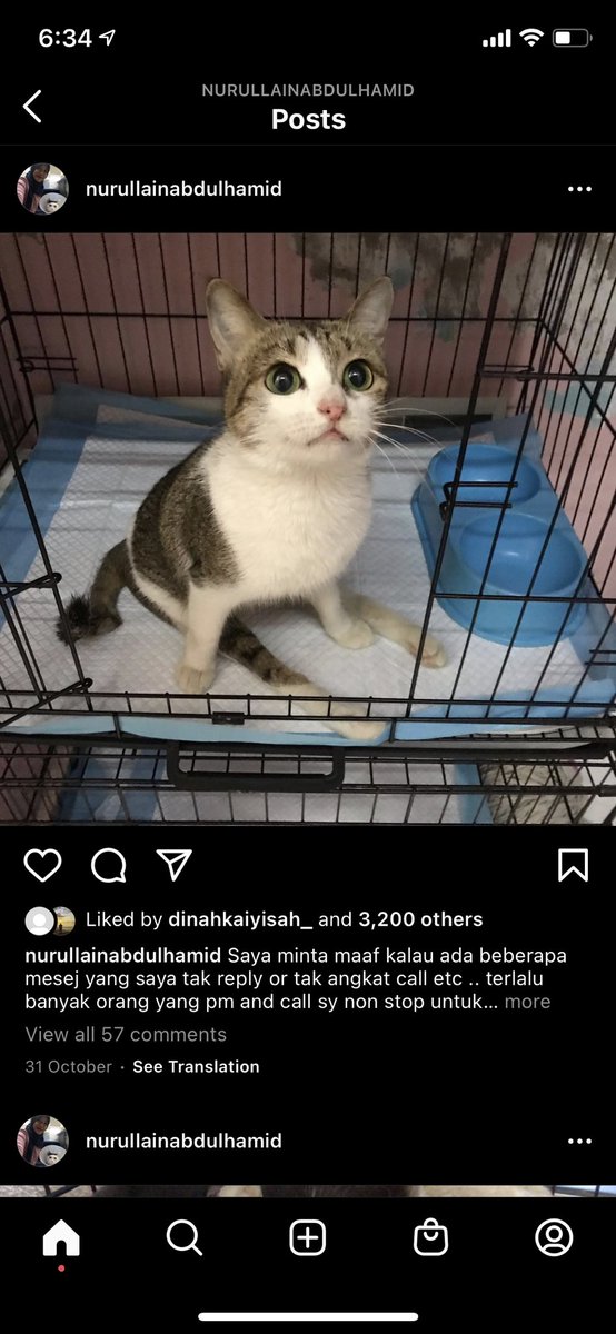 nblsml_'s tweet photo. Aku percaya kuasa twitter. Harap korang dapat Rt sampai ustaz ebit liew nampak bende ni. Dah lama dah akak ni tolong kucing2 and anjing2 jalanan. Banyak yg lumpuh, buta 😭😭😭 Rt la korang supaya akak ni dapat bantu kucing2 yg ada 🙏🏻🙏🏻🙏🏻 @Ebitlew_ https://t.co/vWIP0WezaL