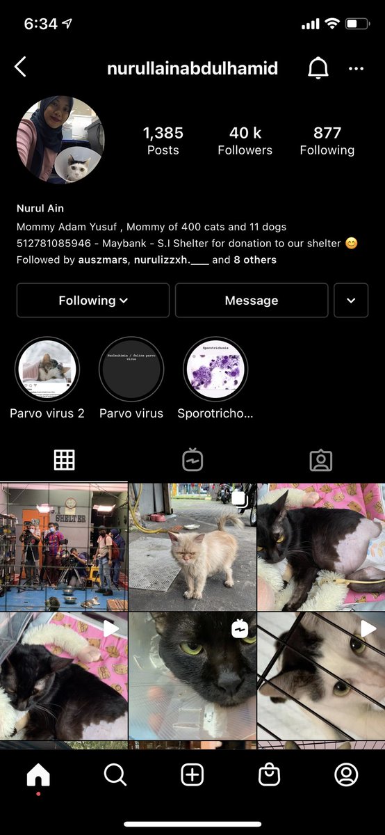 nblsml_'s tweet photo. Aku percaya kuasa twitter. Harap korang dapat Rt sampai ustaz ebit liew nampak bende ni. Dah lama dah akak ni tolong kucing2 and anjing2 jalanan. Banyak yg lumpuh, buta 😭😭😭 Rt la korang supaya akak ni dapat bantu kucing2 yg ada 🙏🏻🙏🏻🙏🏻 @Ebitlew_ https://t.co/vWIP0WezaL