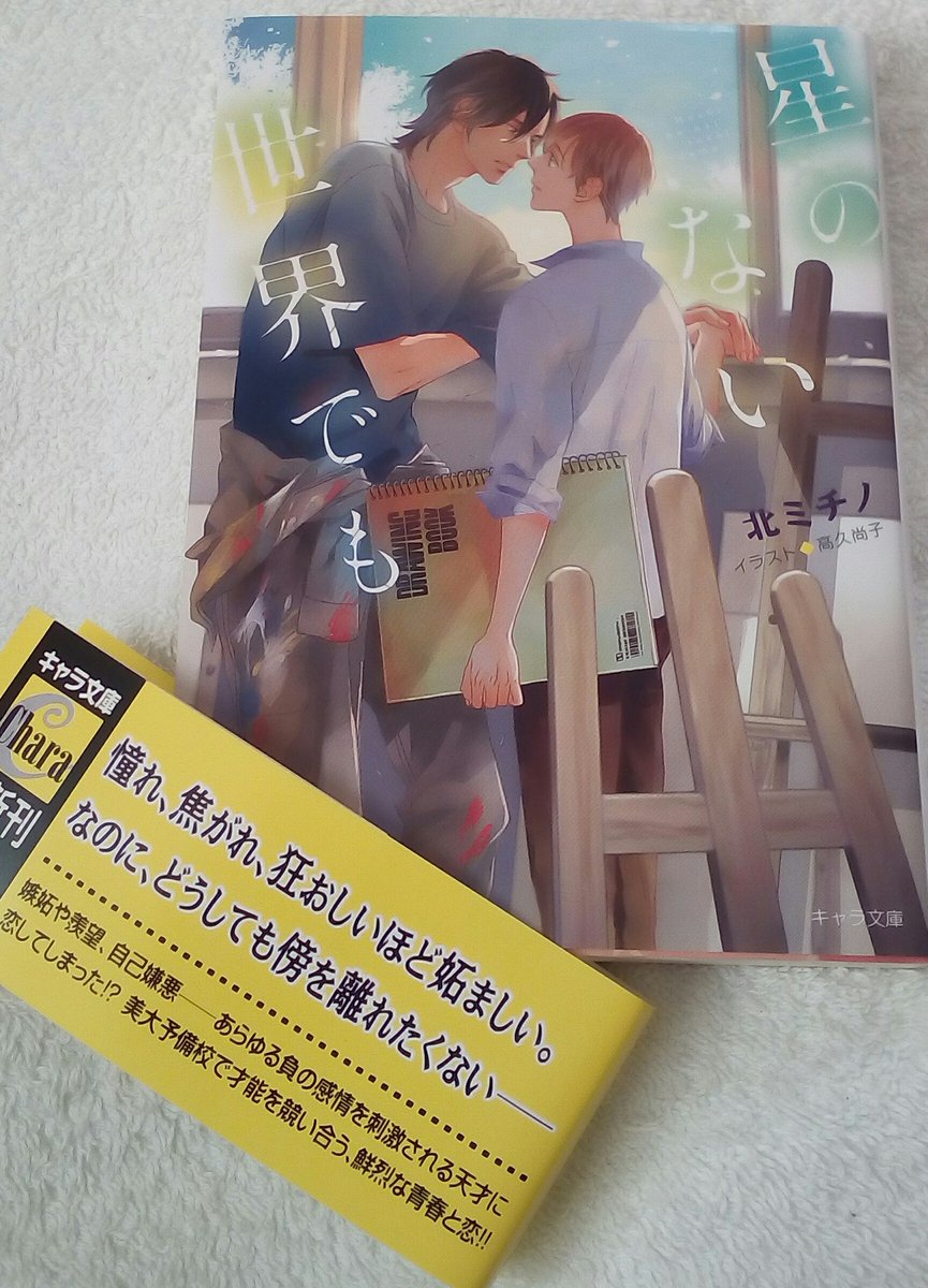 Tea 読みました 美大予備校での出会い 心を奪われた作品を描いたのは他人を寄せつけない不思議な雰囲気の年下くん 芸術家の卵たちの情熱や葛藤 そして恋 愛を知ったふたりがこれから創るものも 見てみたいと思いました 北ミチノ 星のない世界
